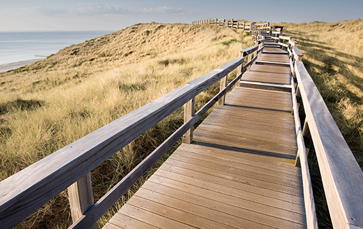 Wooden walkway over windy field